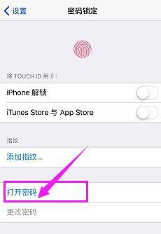 iOS更新密码需知（了解iOS更新所需密码的重要性及使用方法）