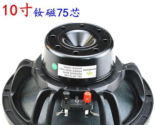 磁低音喇叭253的卓越表现（颠覆传统音质的低音表现）