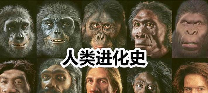 人类的未来