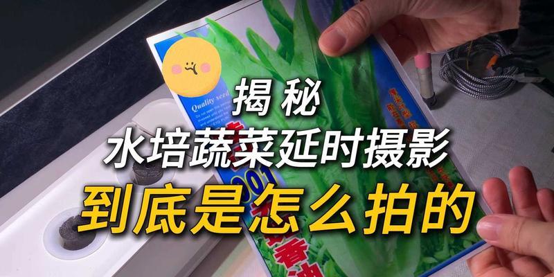 如何通过延时拍照捕捉美丽瞬间（掌握关键技巧，记录生活的每一刻）
