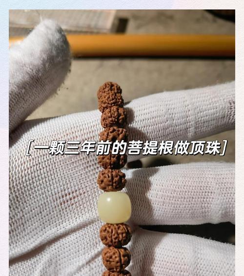 金刚菩提子清理的最佳方法（掌握关键技巧，轻松清理金刚菩提子）